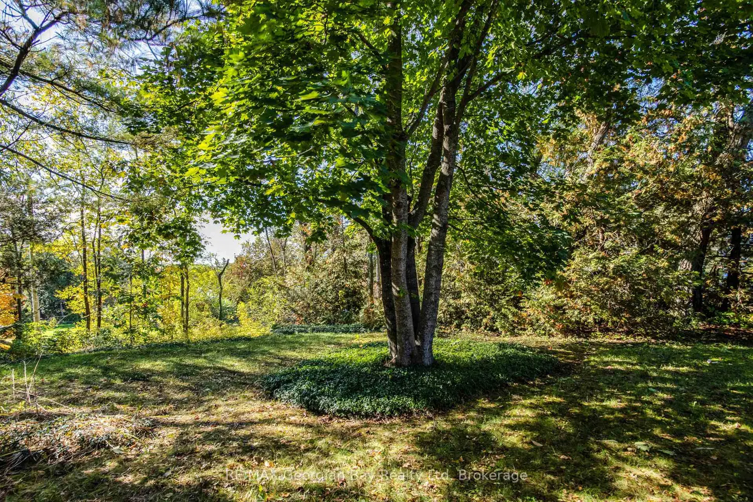 Additional image 14 of 134 Forest Harbour Parkway