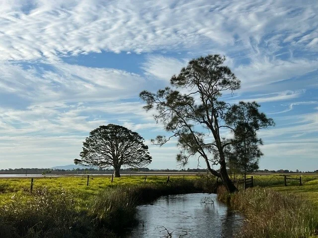 Additional image 5 of 81 Upper Belmore River Rd, Belmore River NSW 2440
