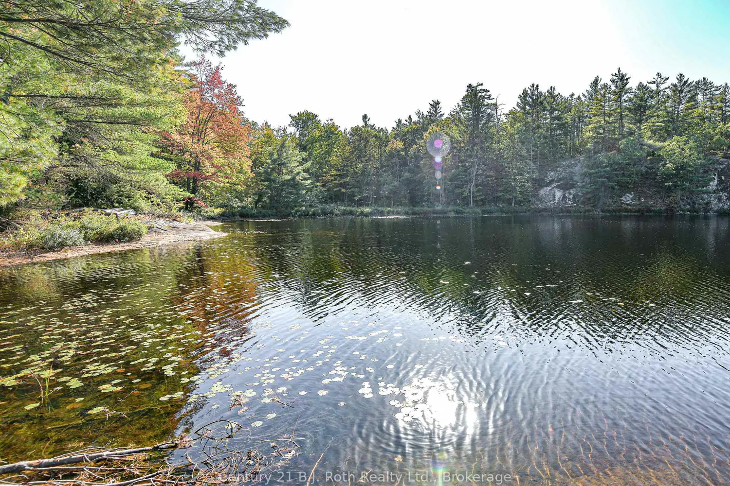 Additional image 19 of 1112 Sam Cook Road 2