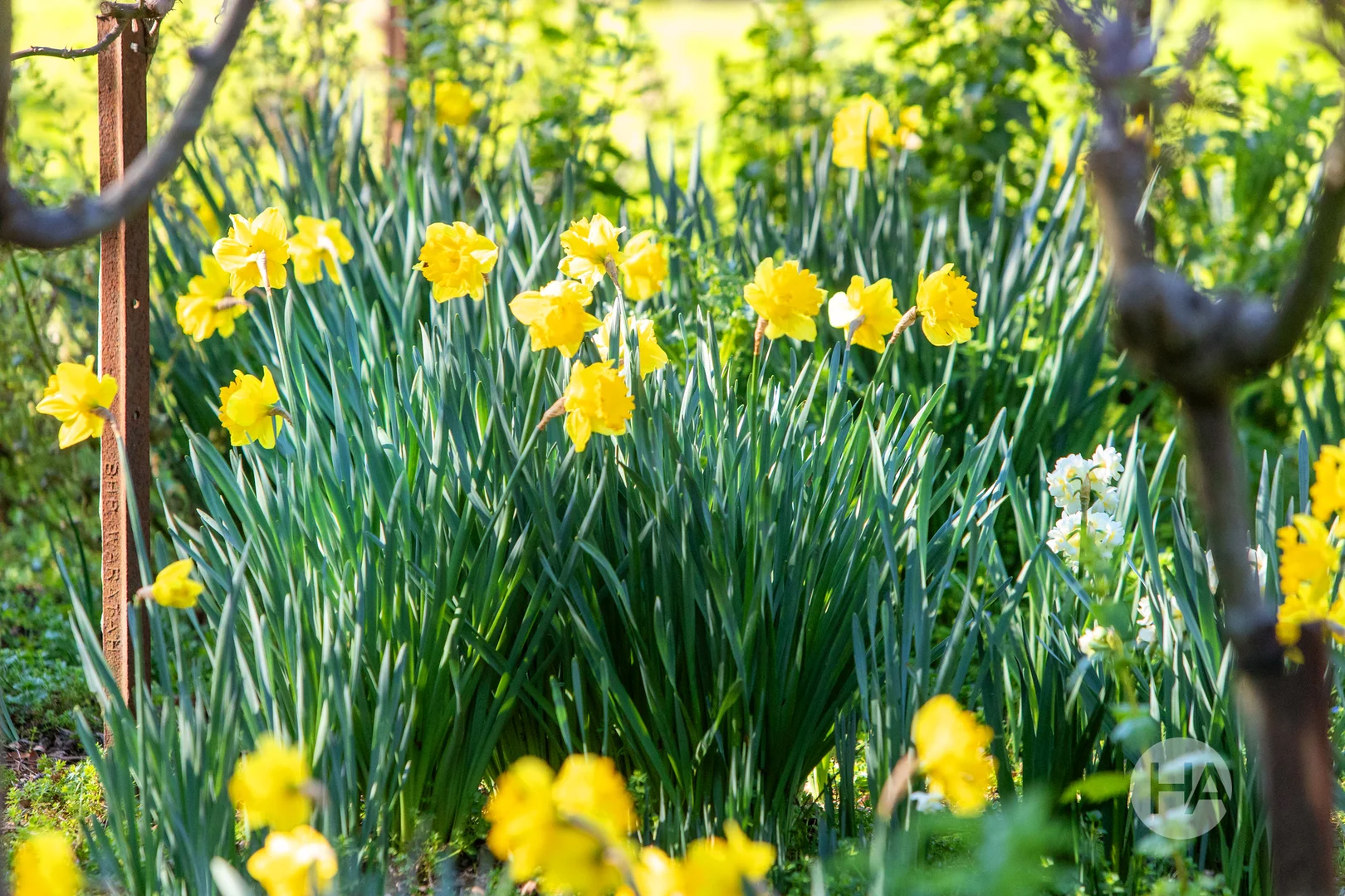 Additional image 9 of 255-257 Craigie Road, Mount Martha VIC 3934