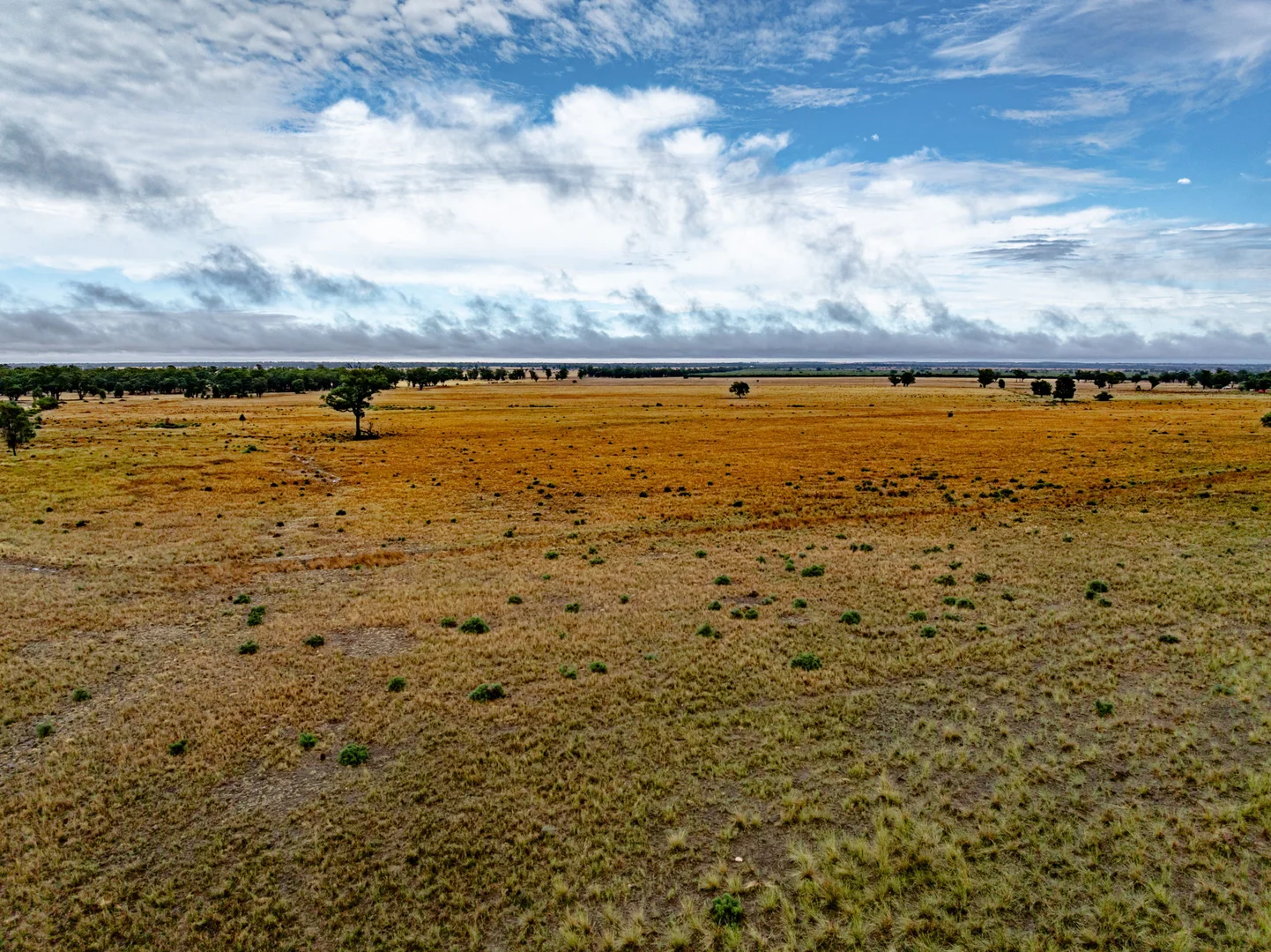 Additional image 20 of 'Woroona' & 'Tralee' 936 Boorr Hill Road, Parkes NSW 2870