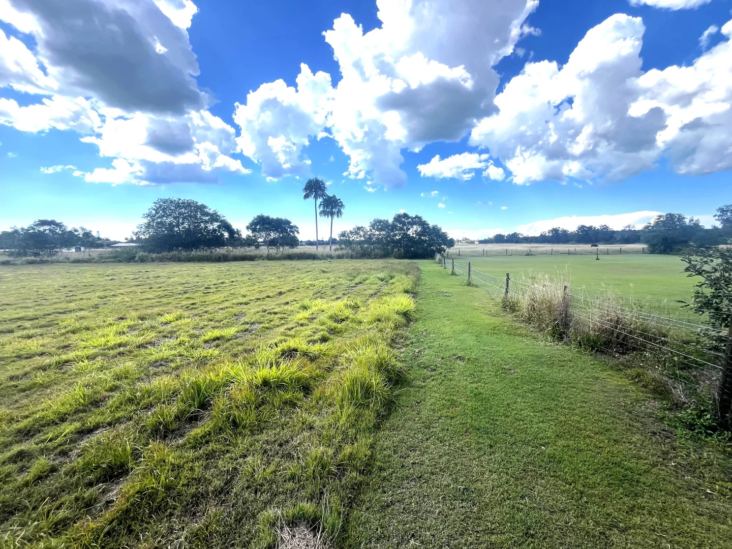 Additional image 4 of 6 ANGELA COURT, Welcome Creek QLD 4670