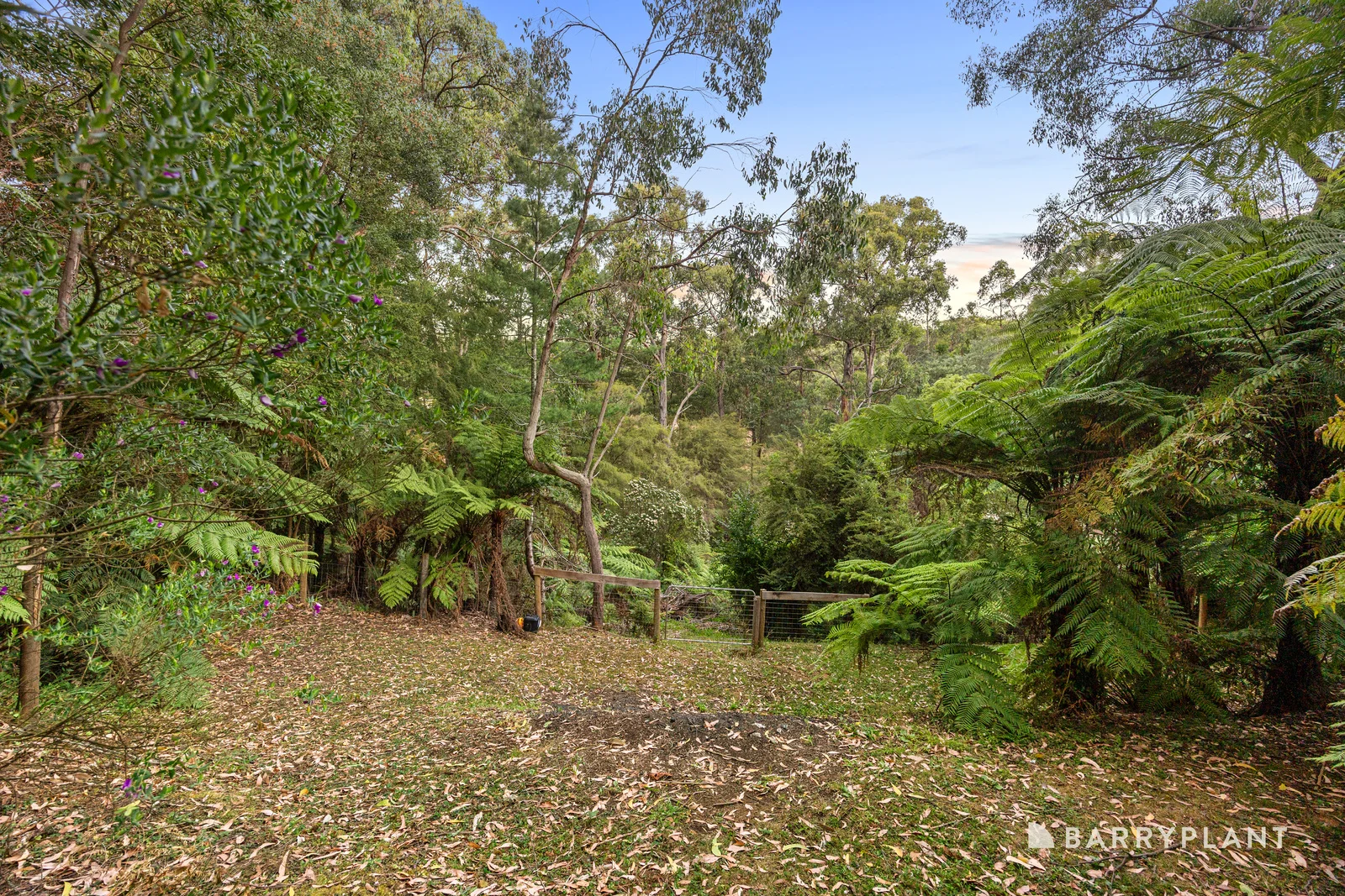 Additional image 13 of 2 Hilditch Avenue, East Warburton VIC 3799