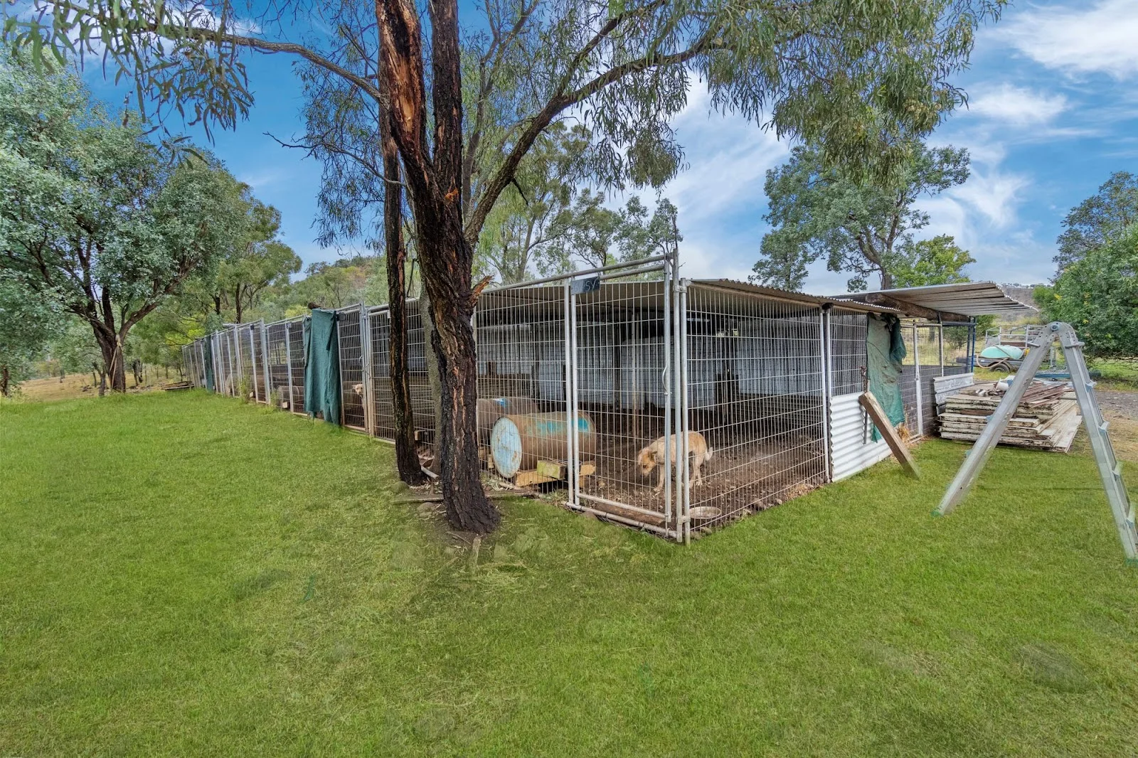Additional image 8 of 1679 Ingoldsby Road, Ingoldsby QLD 4343