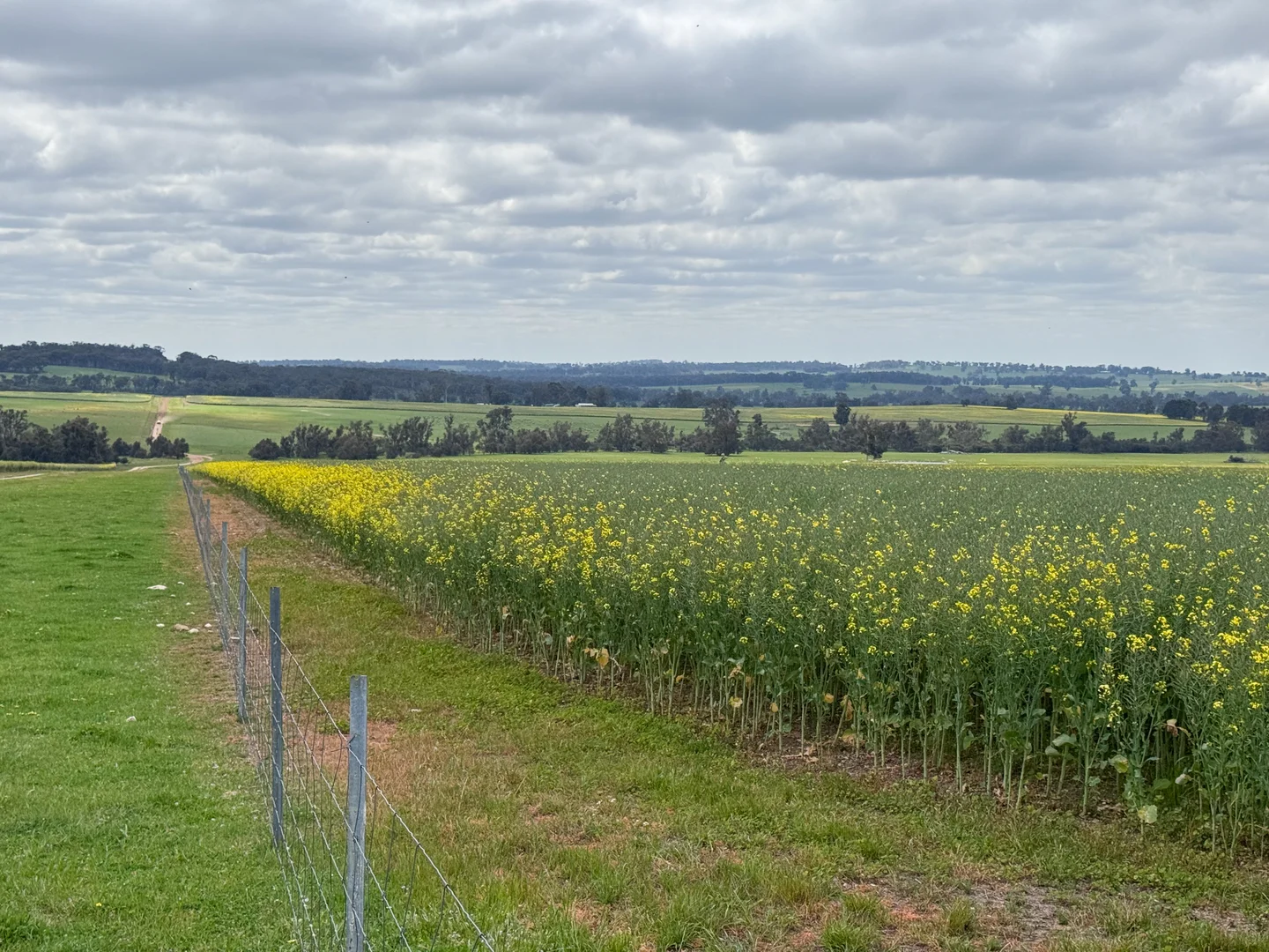 Additional image 26 of 495 Narlingup Road, Qualeup WA 6394