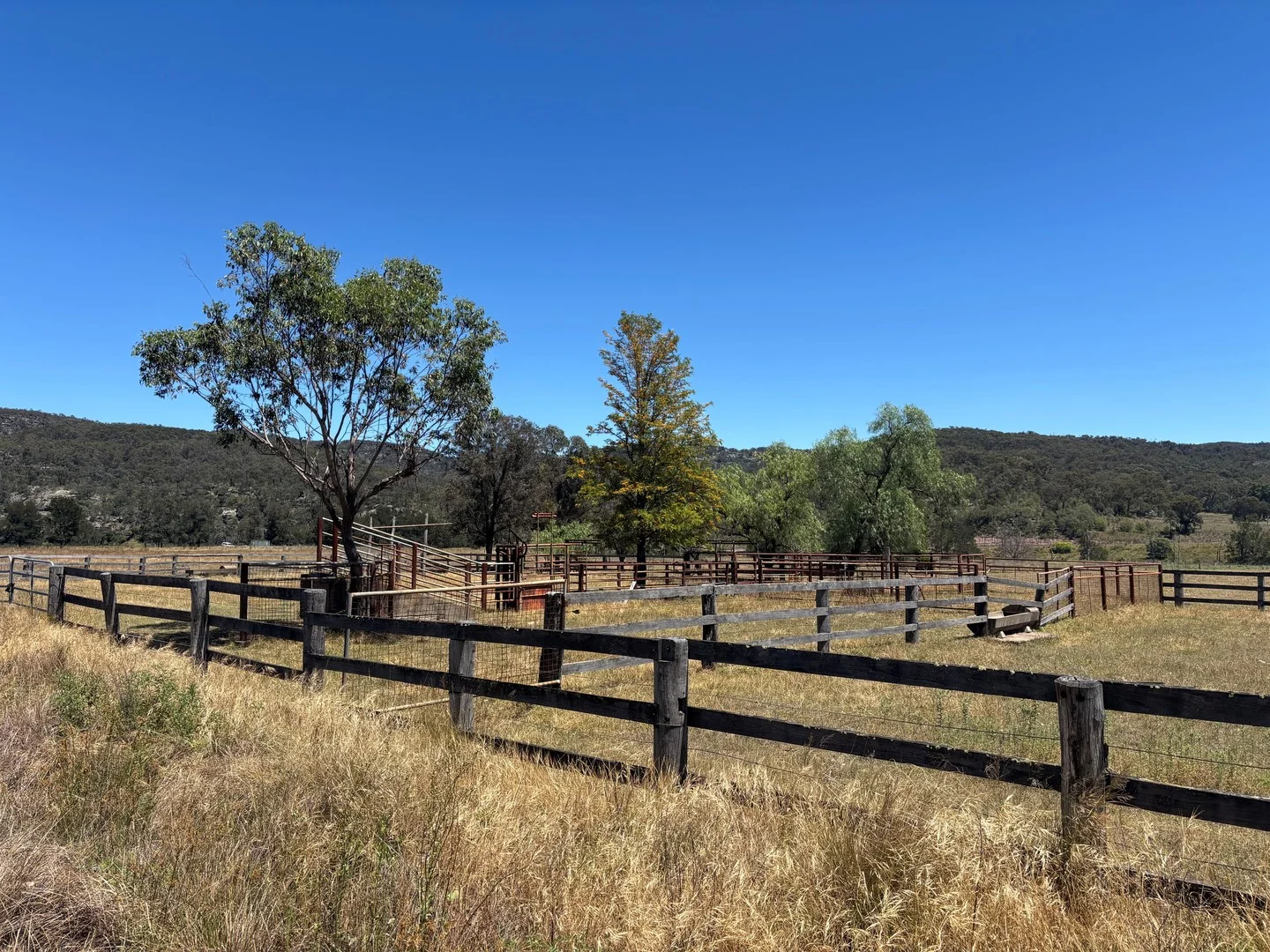 2080 Bylong Valley Way, Baerami NSW 2333