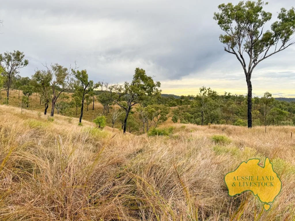 Additional image 12 of "Chapmans", Lot 14 Monto Mount Perry Road, Mungy QLD 4671