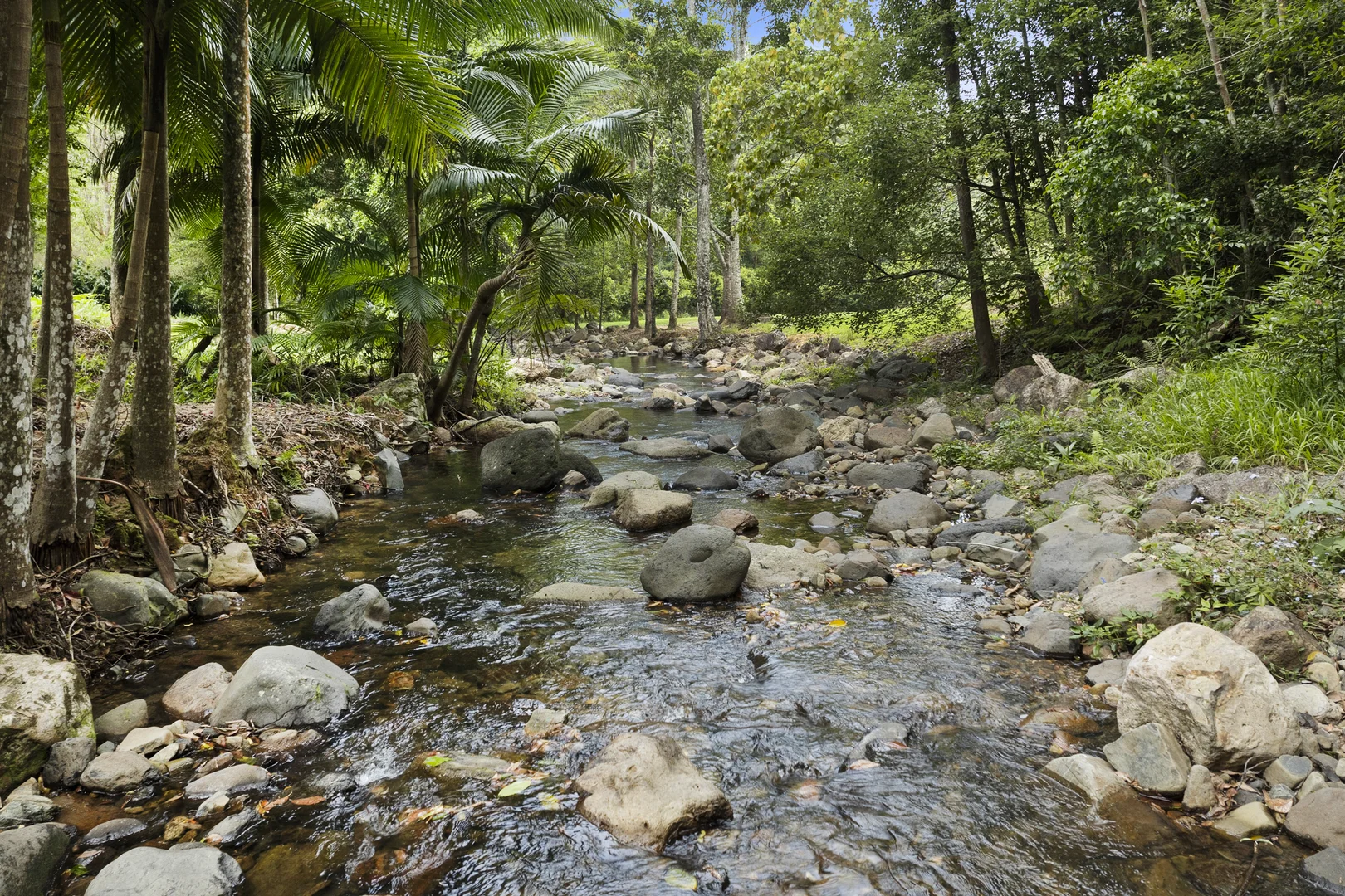 Additional image 9 of 192 Booka Road, Upper Crystal Creek NSW 2484