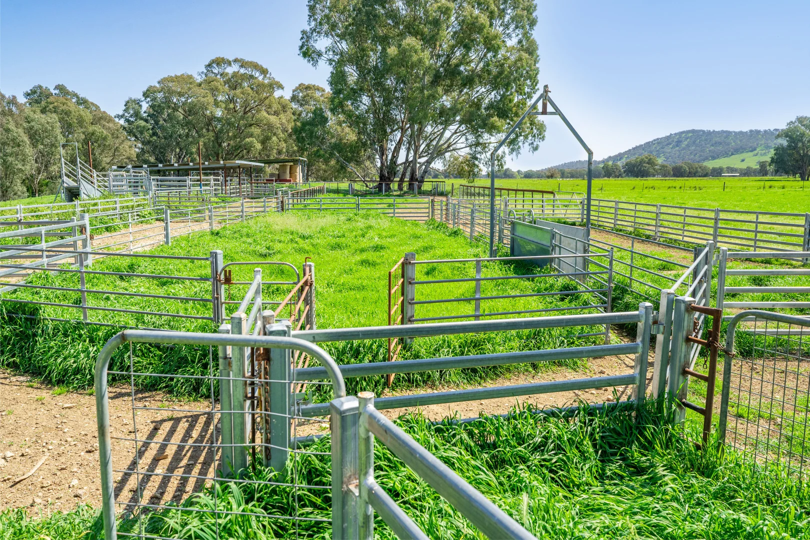 Additional image 37 of 336B Cookinburra Road, Indigo Valley VIC 3688