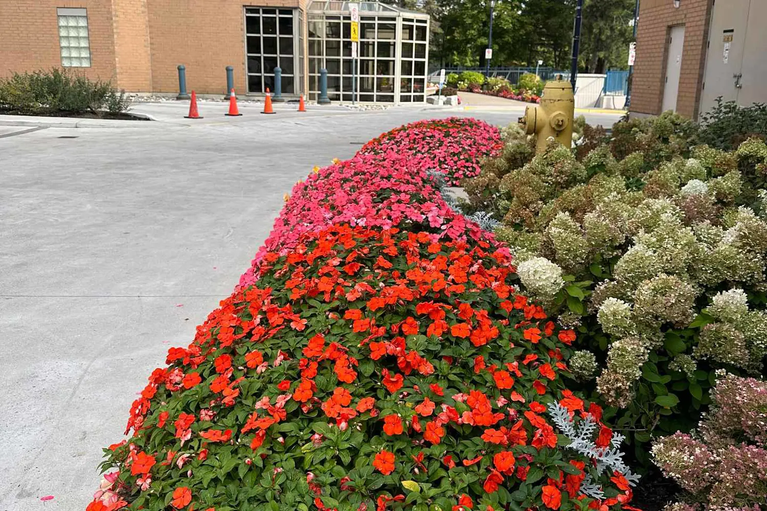 Additional image 19 of 115 Omni Drive 2605