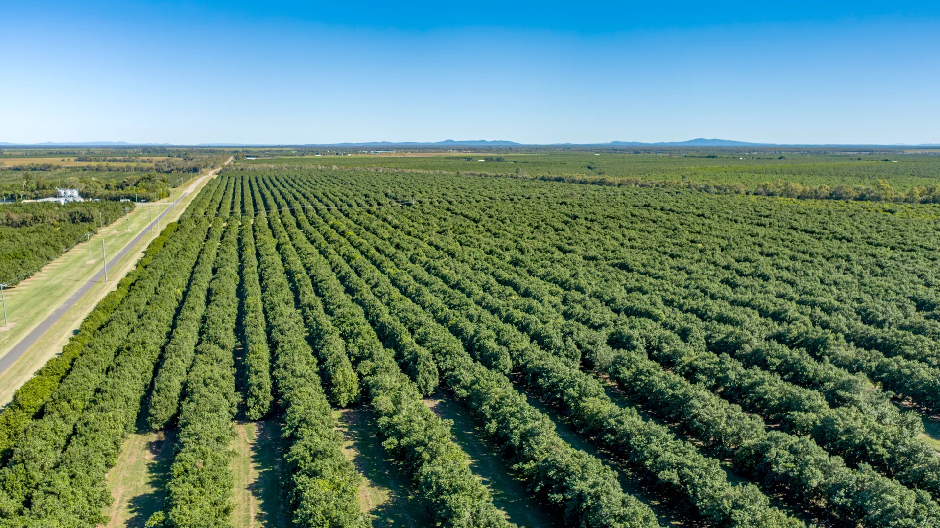 Additional image 6 of 94 Pashleys Road, Welcome Creek QLD 4670