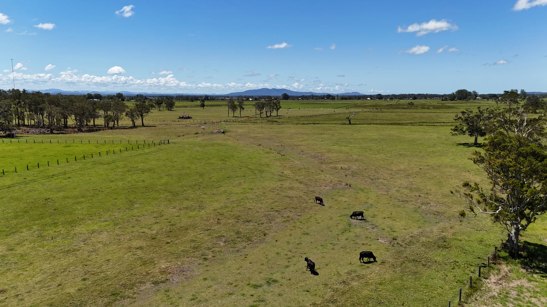 Additional image 4 of Lot 1 North Street, Gladstone NSW 2440