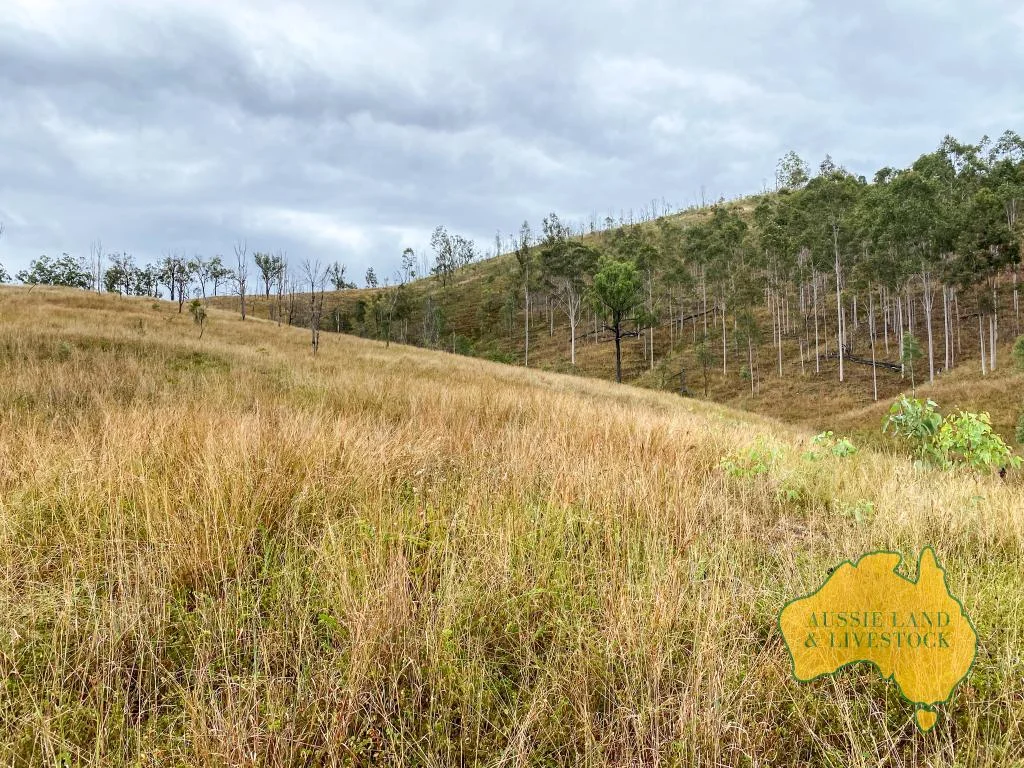 Additional image 15 of 59 MUNGY ROAD, Mungy QLD 4671