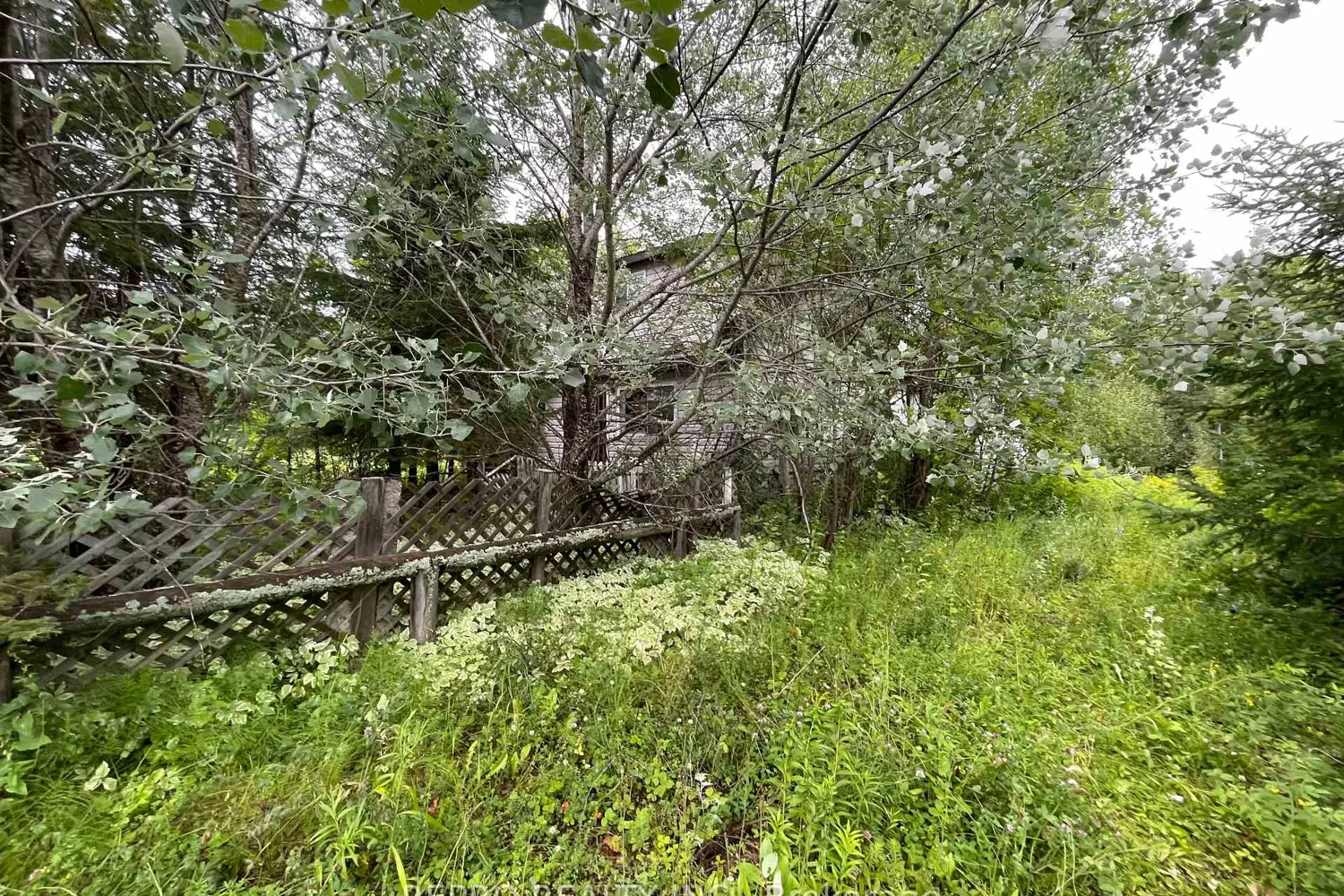 Additional image 2 of 65 Edward Street