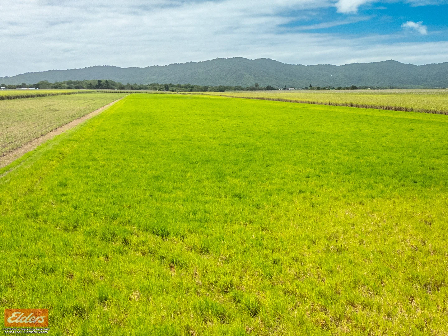 Additional image 14 of 318 Mourilyan Harbour Road, Mourilyan QLD 4858