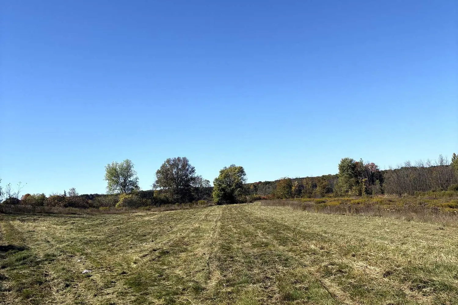 Additional image 3 of 309 Vanderwater Road