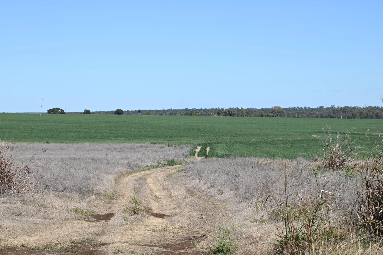 Additional image 18 of 102 Lowestoff Road, Capella QLD 4723