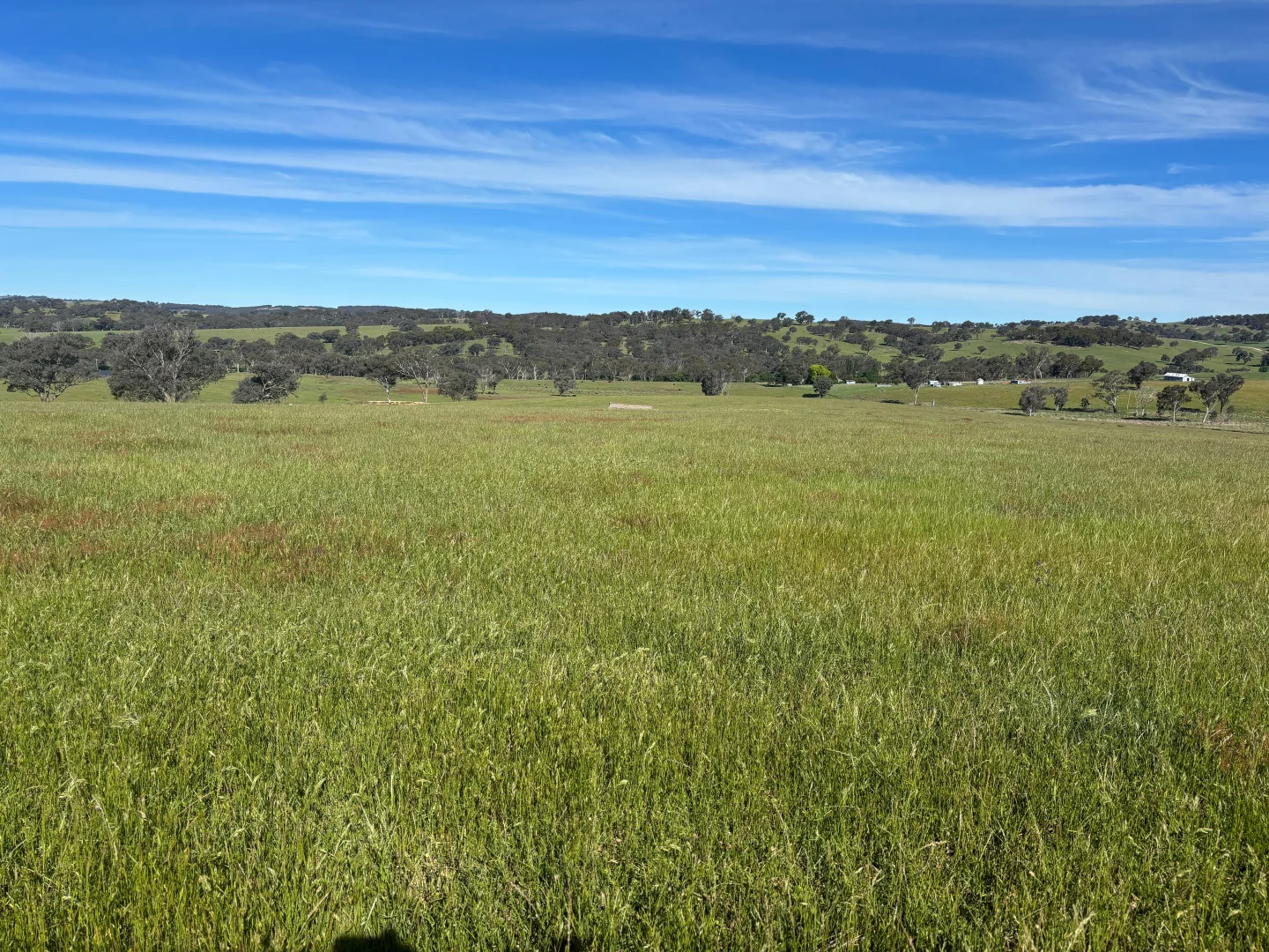 Additional image 22 of 1050 Garland Road, Garland NSW 2797