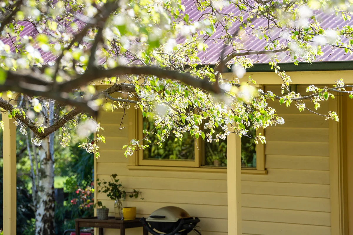 Additional image 18 of 108 Delaneys Lane, Hansonville VIC 3675