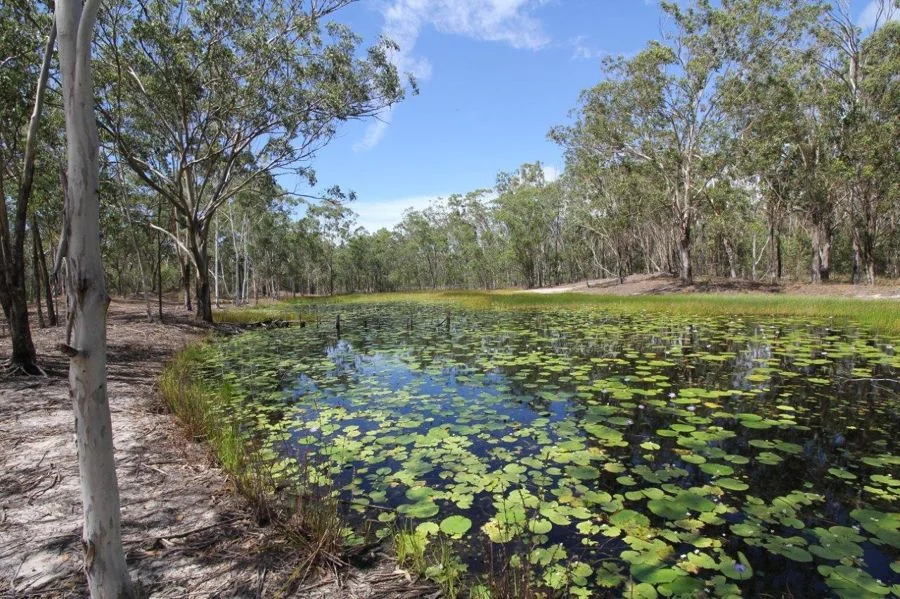 Additional image 32 of 700 Fernfield Road, Deepwater QLD 4674