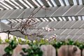 Additional image 52 of 2506 Weston Pl, Glendale, CA, 91208