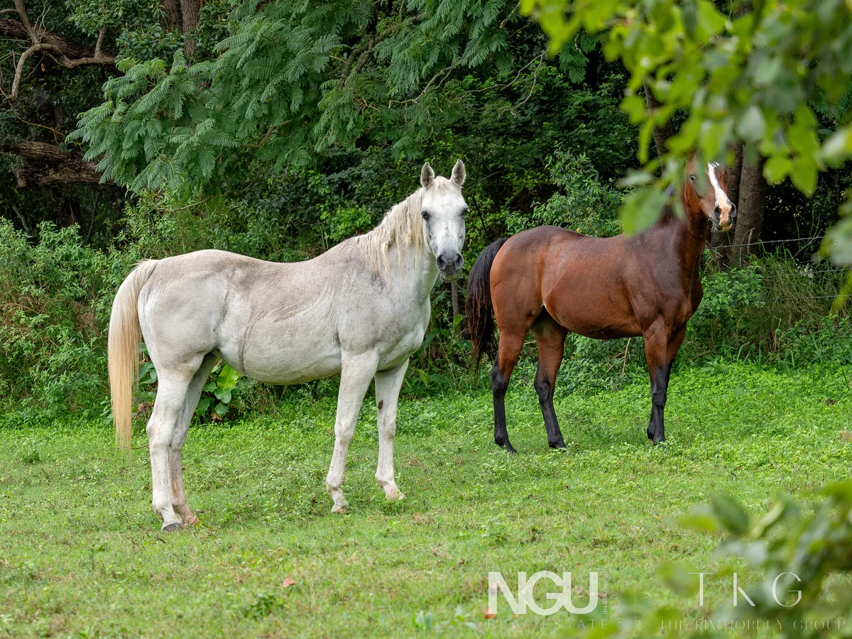 Additional image 19 of 37 Roderick Street, Marburg QLD 4346