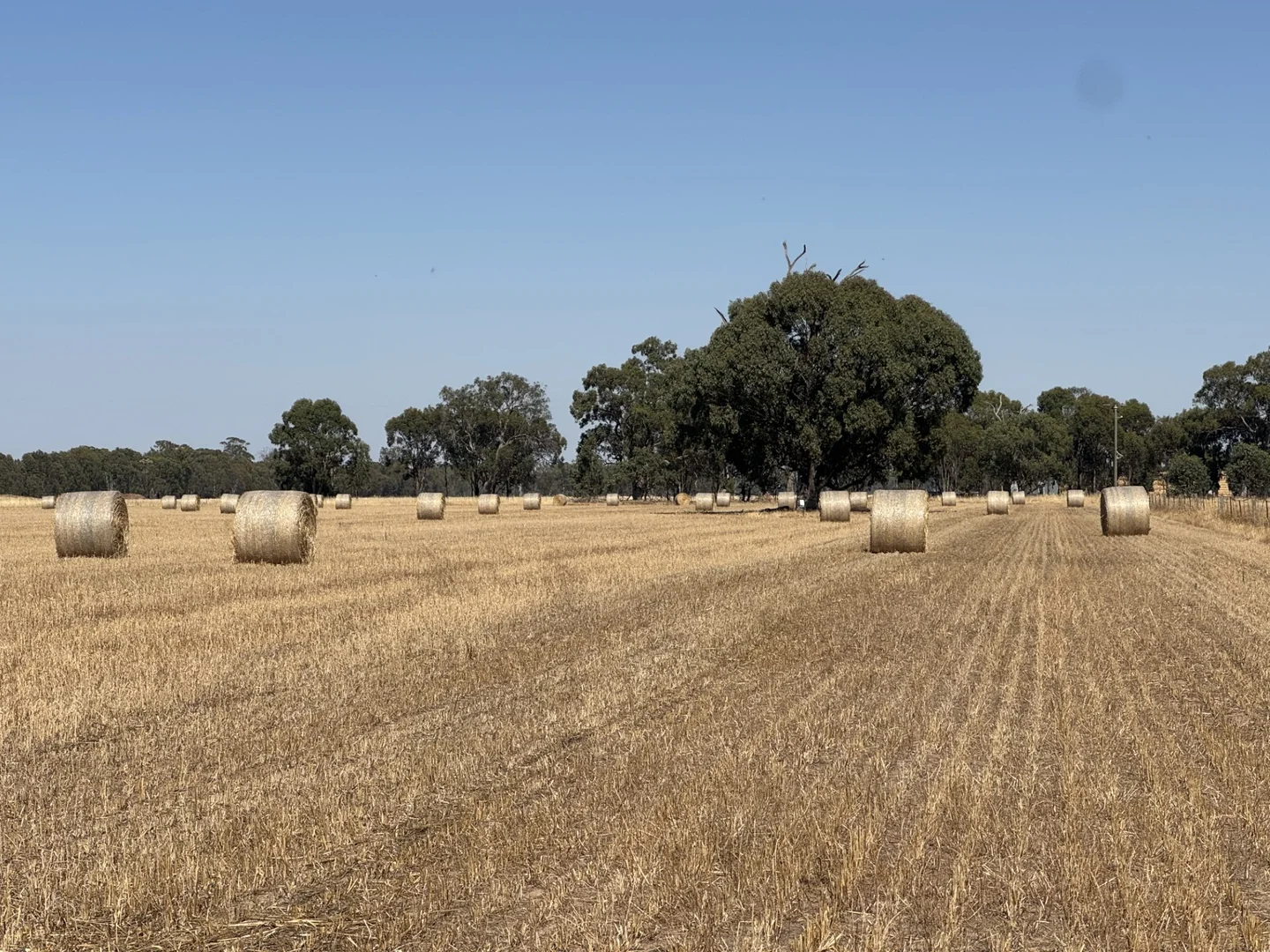 Additional image 14 of CA 60 Federation Way, Springhurst VIC 3682