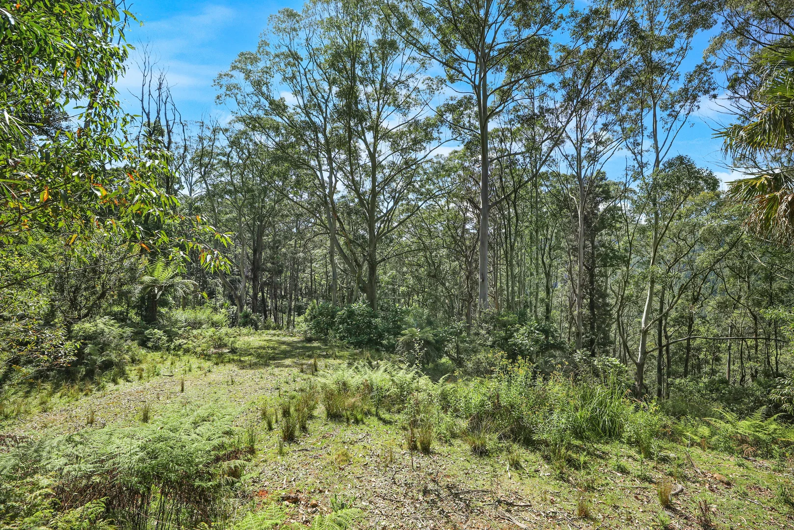 Additional image 6 of 826 Mount Scanzi Road, Kangaroo Valley NSW 2577