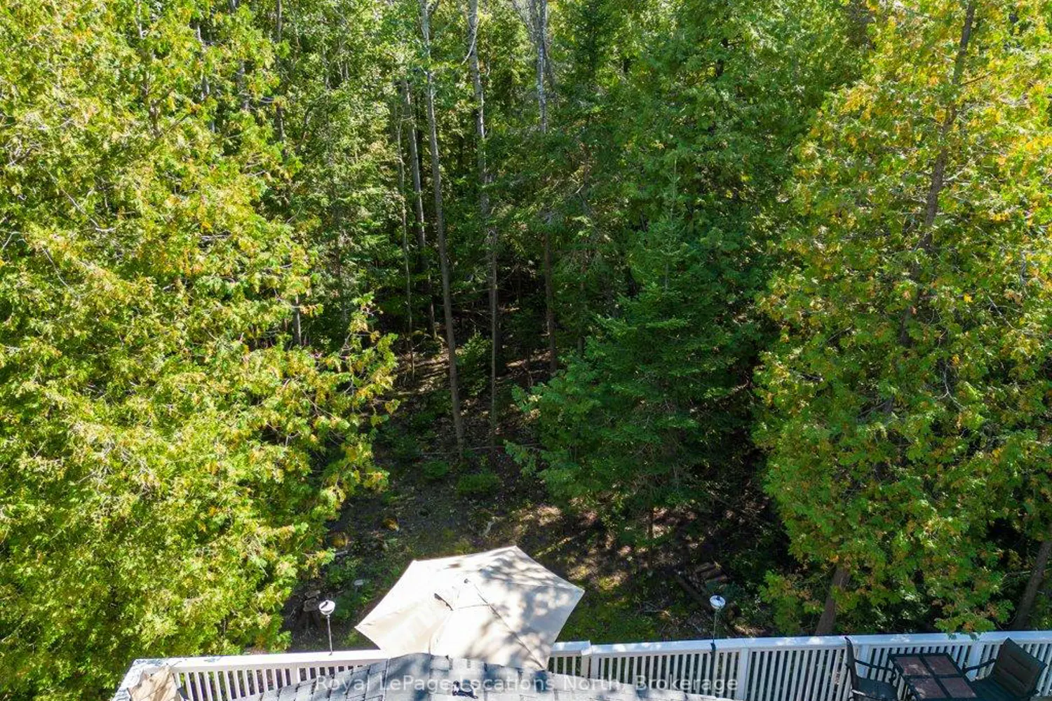 Additional image 12 of 112 Cameron Street