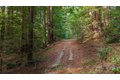Additional image 33 of 1000 Harmon Gulch Rd, Boulder Creek, CA, 95006