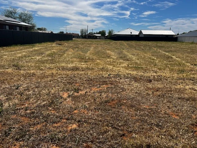 16 Teatree Avenue, Leeton NSW 2705