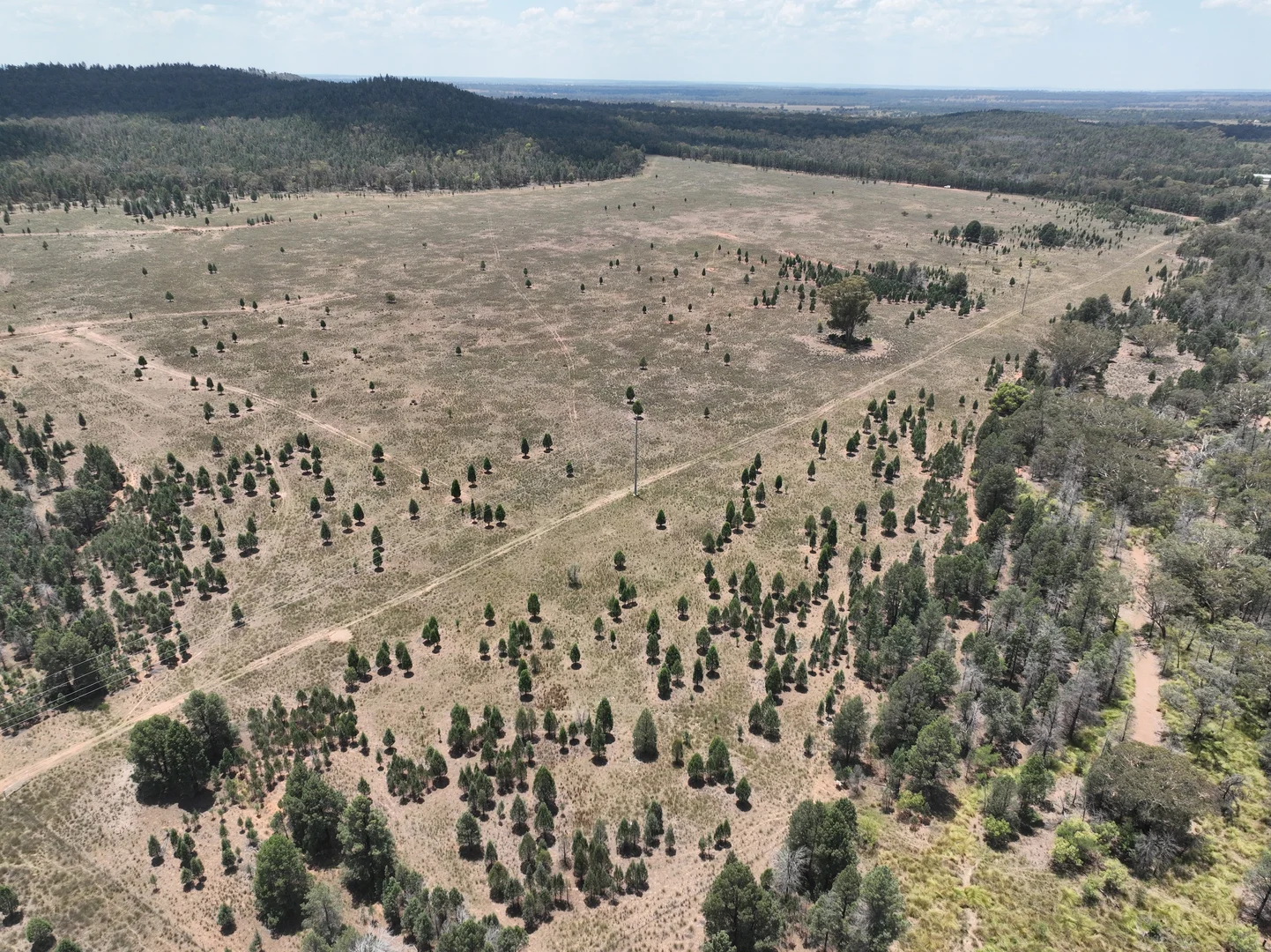 Additional image 11 of 'Illapa' 238L Narromine Road, Dubbo NSW 2830