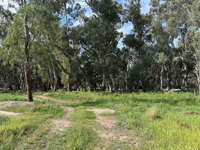 Additional image 5 of 456 RIVER ROAD, Gonn Crossing VIC 3579