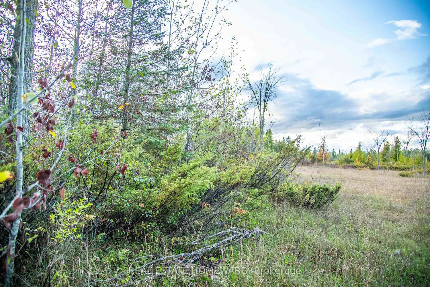 Additional image 3 of Lot 254 Mcguire Beach Road