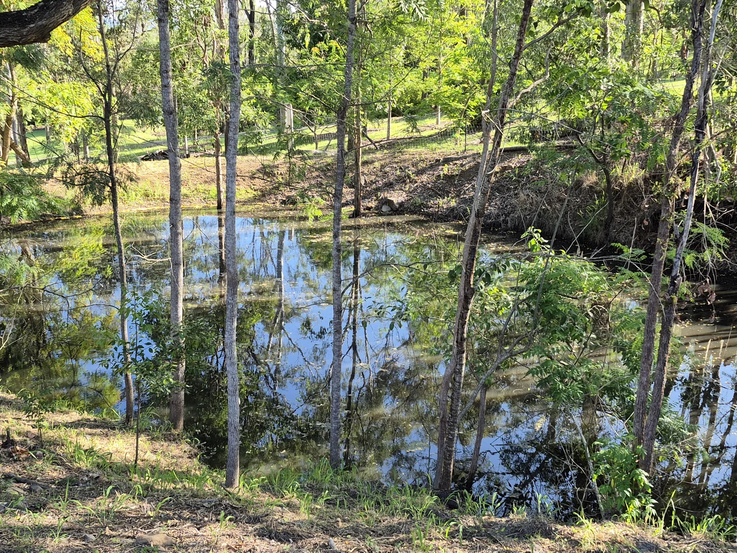 Additional image 14 of 1186 Wallaville Goondoon Road, Delan QLD 4671