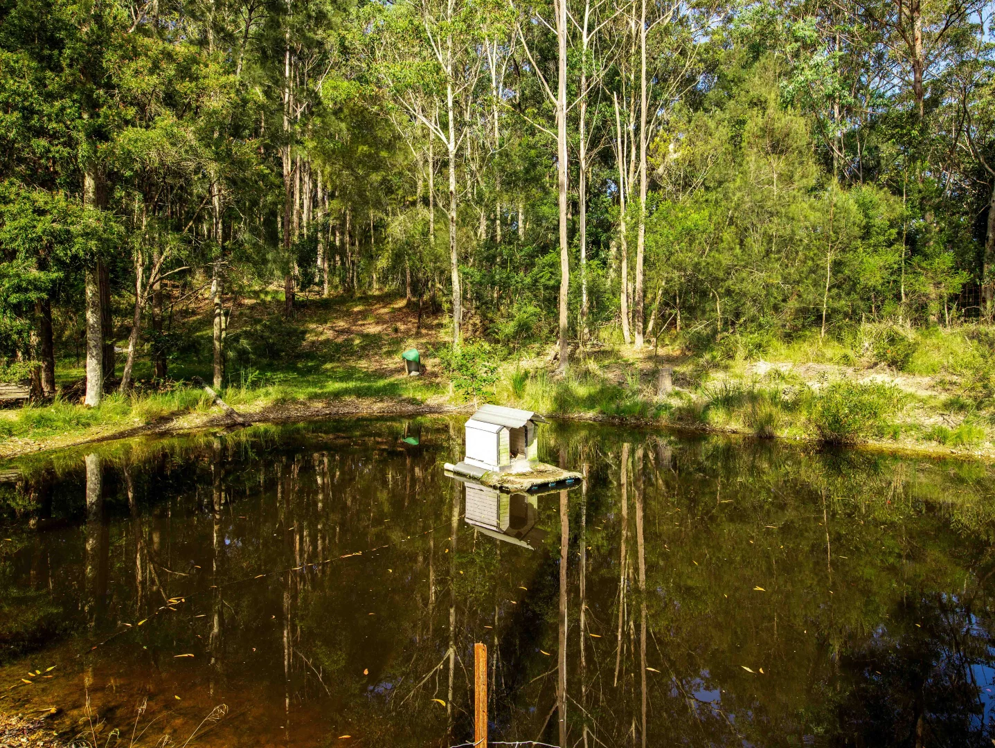 Additional image 4 of 11187 Princes Highway, Benandarah NSW 2536