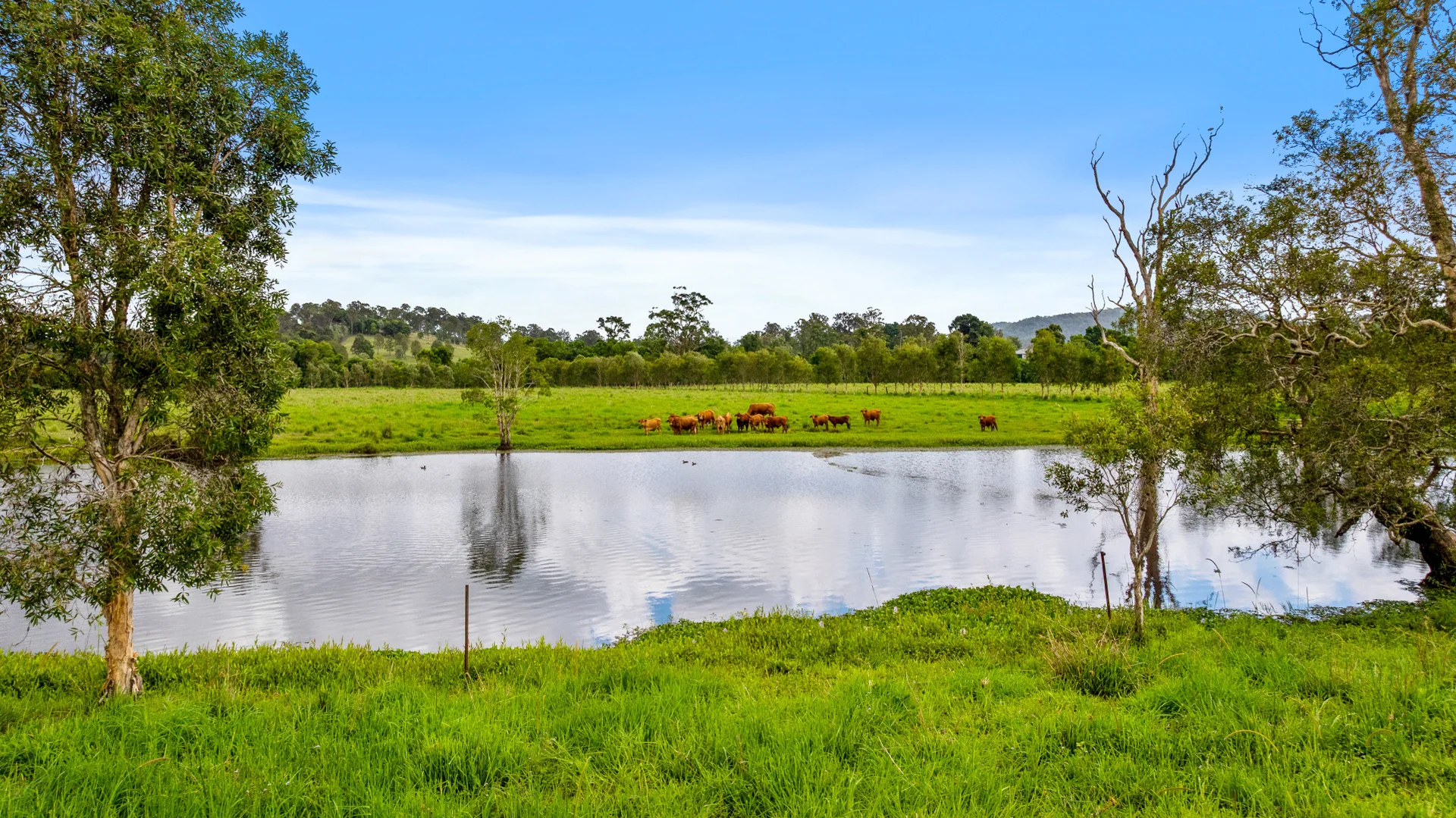 Additional image 7 of 6 Canando Street, Woodford QLD 4514