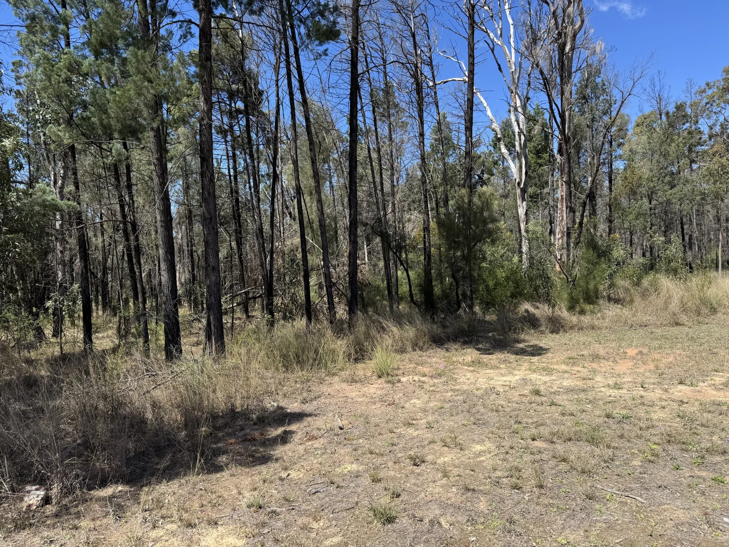 Additional image 5 of Lot 22 Ducklo-Gulera Road, Kumbarilla QLD 4405