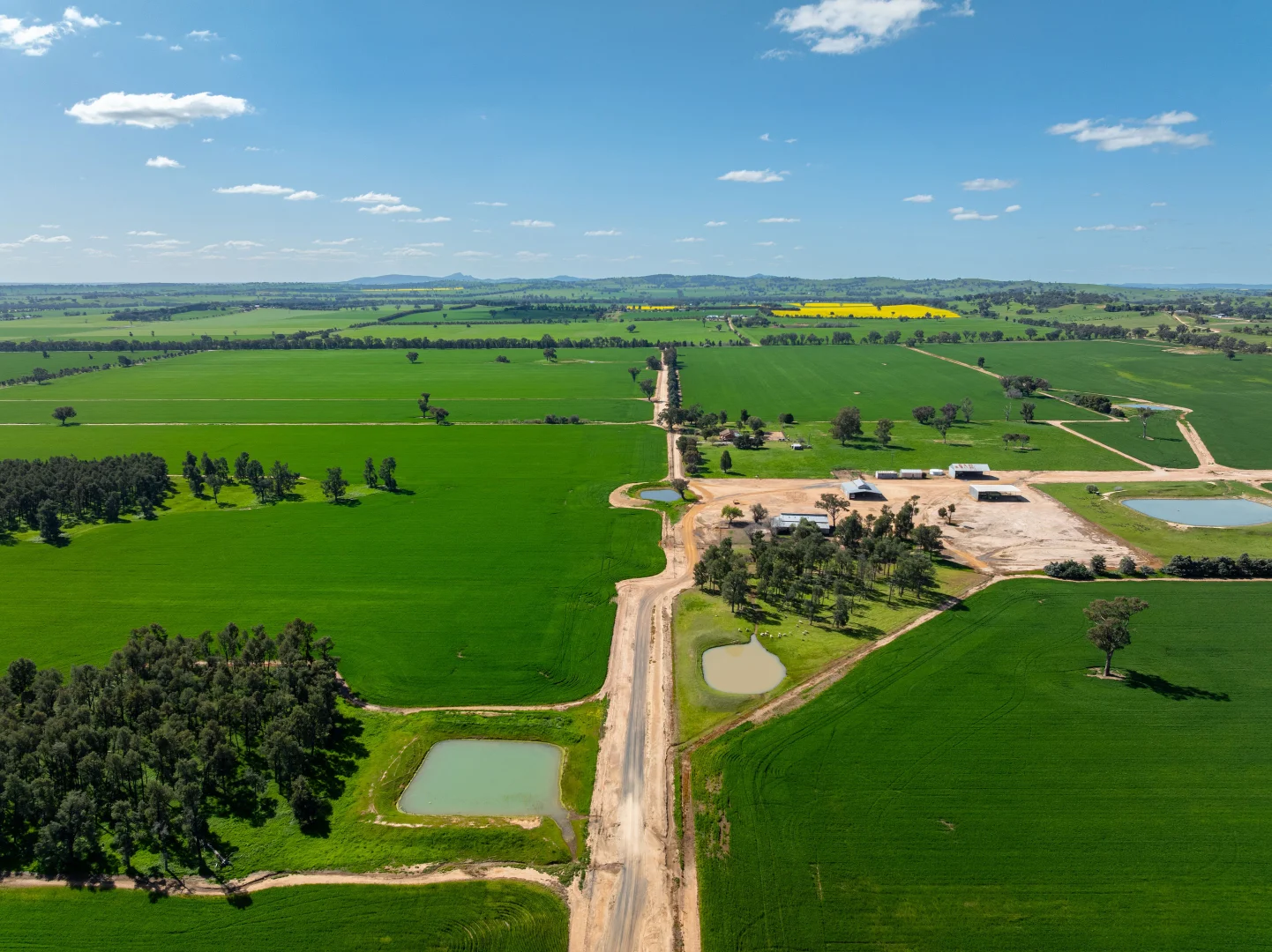 Additional image 15 of 484 Merri Meric Road, Henty NSW 2658