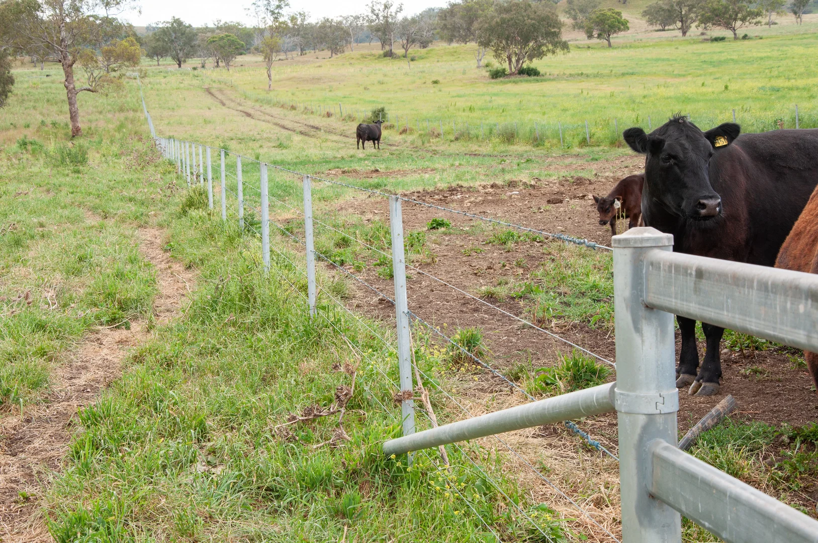 Additional image 12 of 'Kierahmee' 53 Tyrone Rd, Bunnan via, Scone NSW 2337