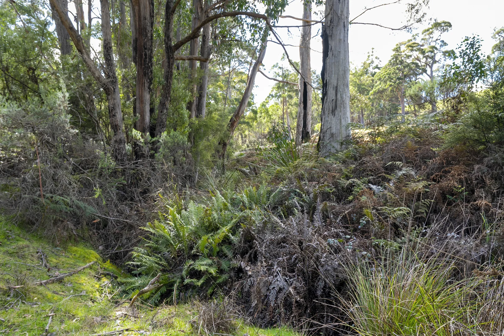 Additional image 31 of 129 Littles Road, Premaydena TAS 7185