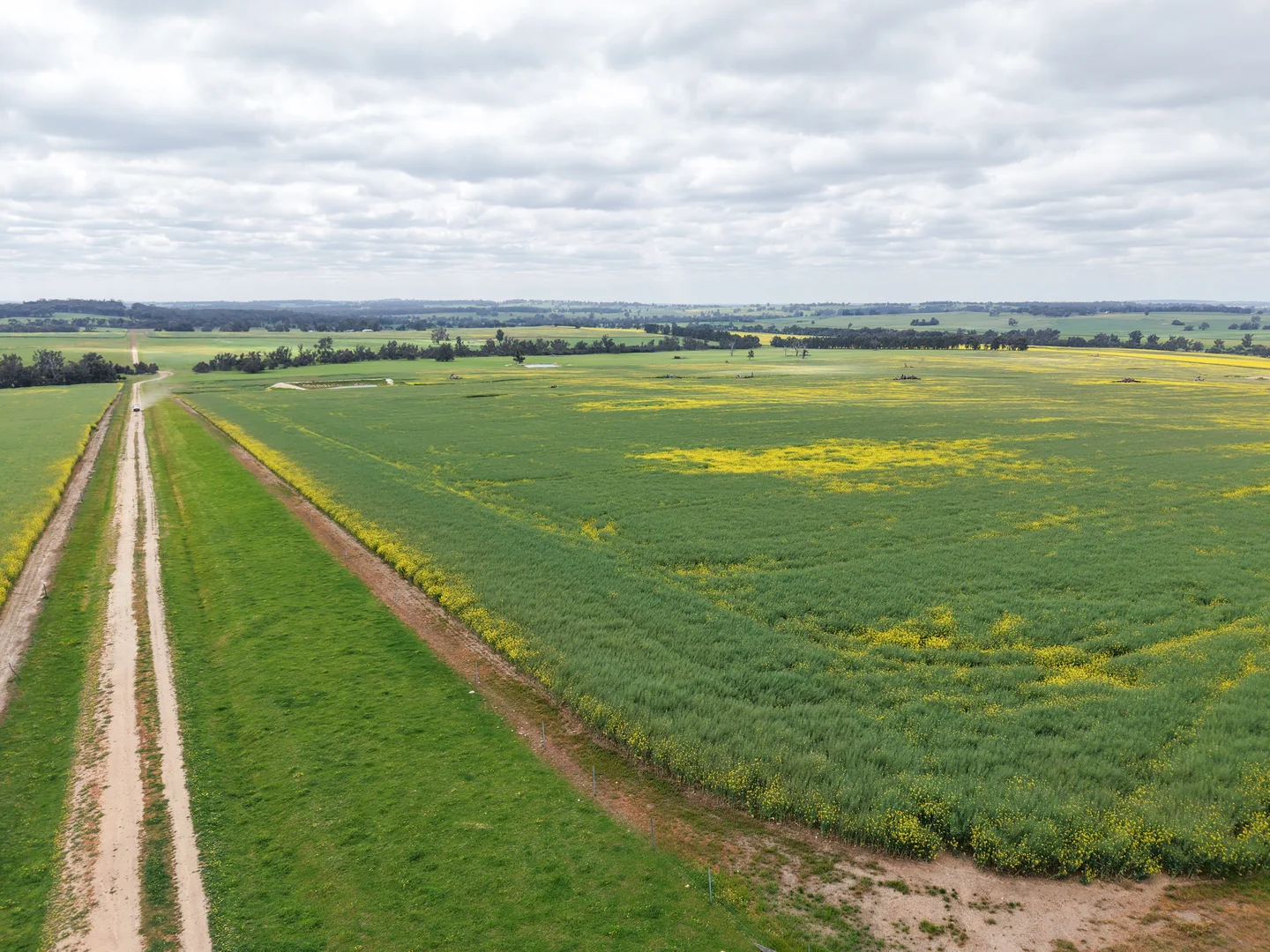 Additional image 18 of 495 Narlingup Road, Qualeup WA 6394