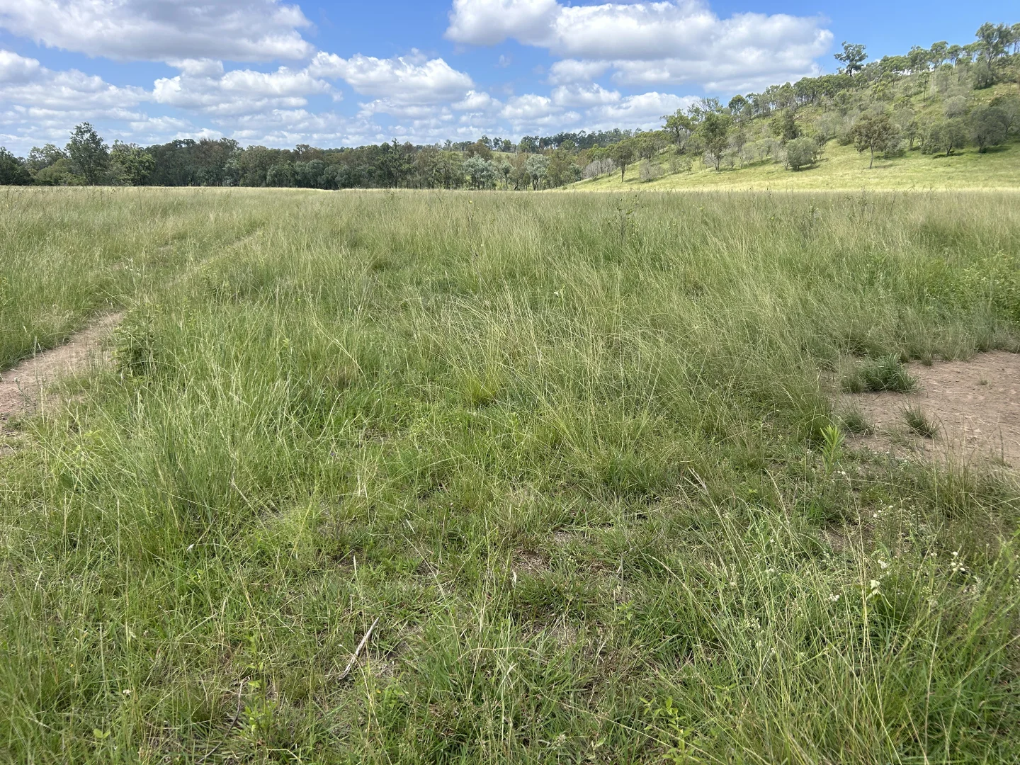 Additional image 11 of 789 Coppin Rd, Monto QLD 4630