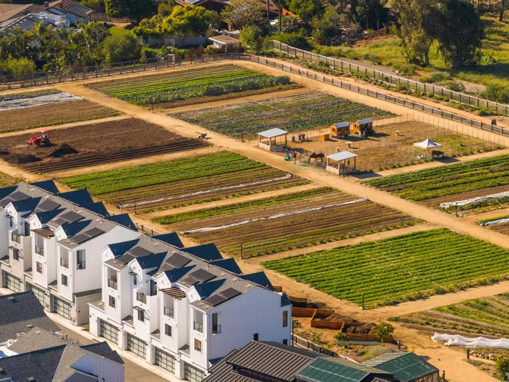 Additional image 135 of 1044 Palmaria Court, Encinitas, CA 92024