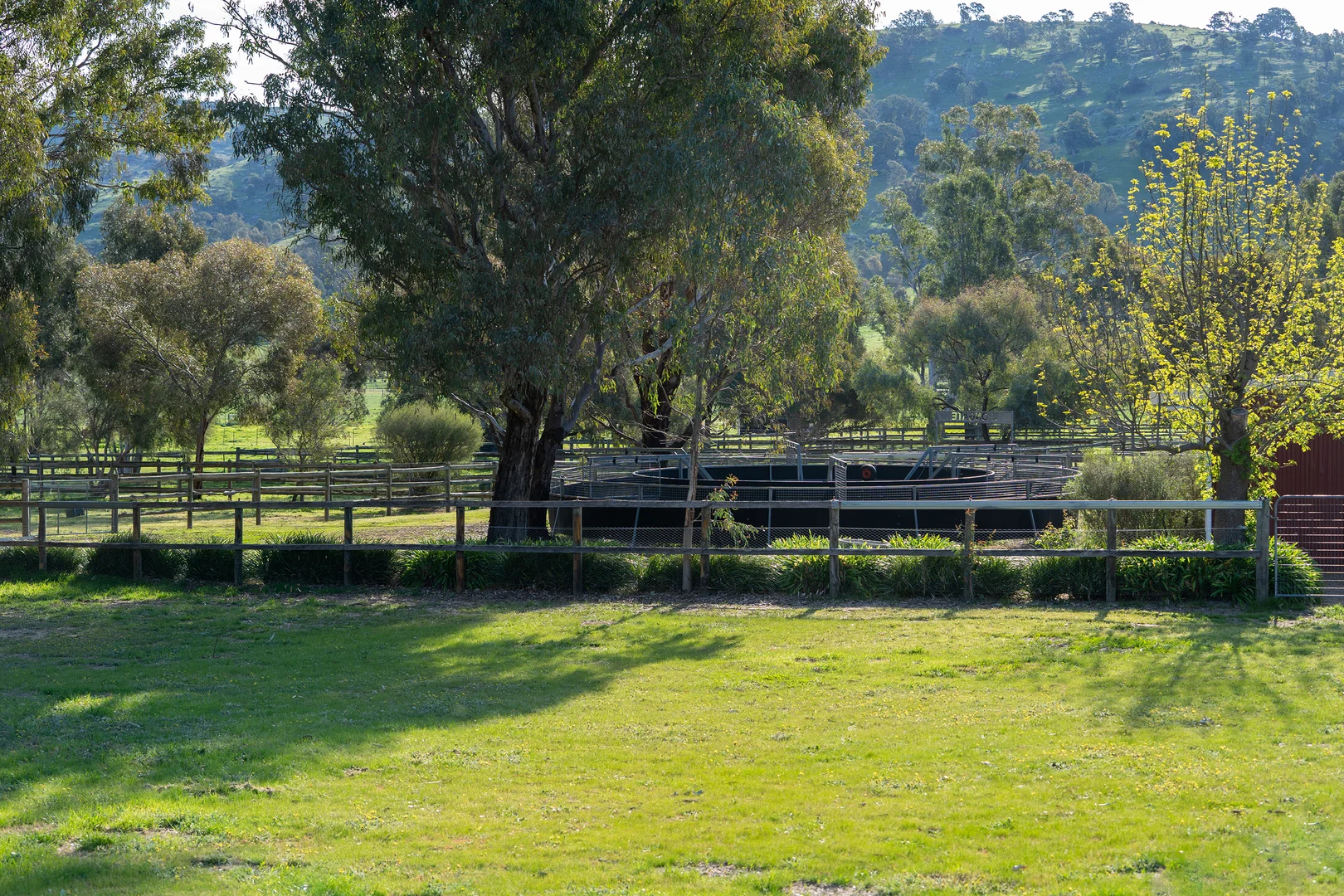 Additional image 40 of 304 Sheans Creek Road, Sheans Creek VIC 3666