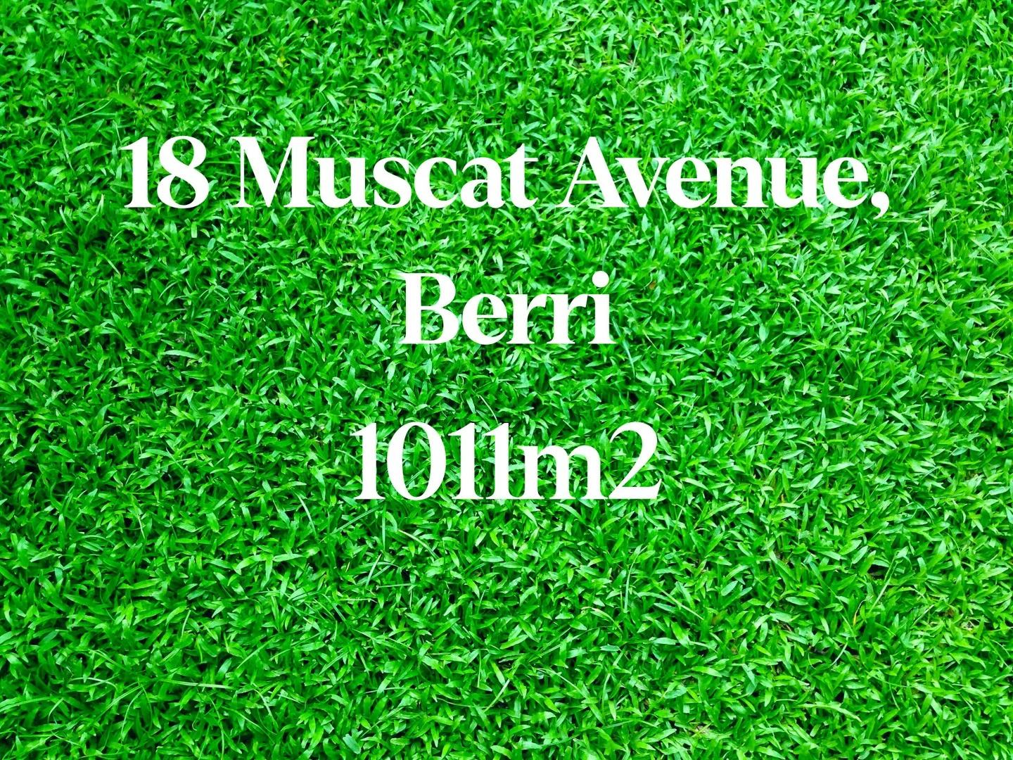 Additional image 2 of 18 Muscat Avenue, Berri SA 5343