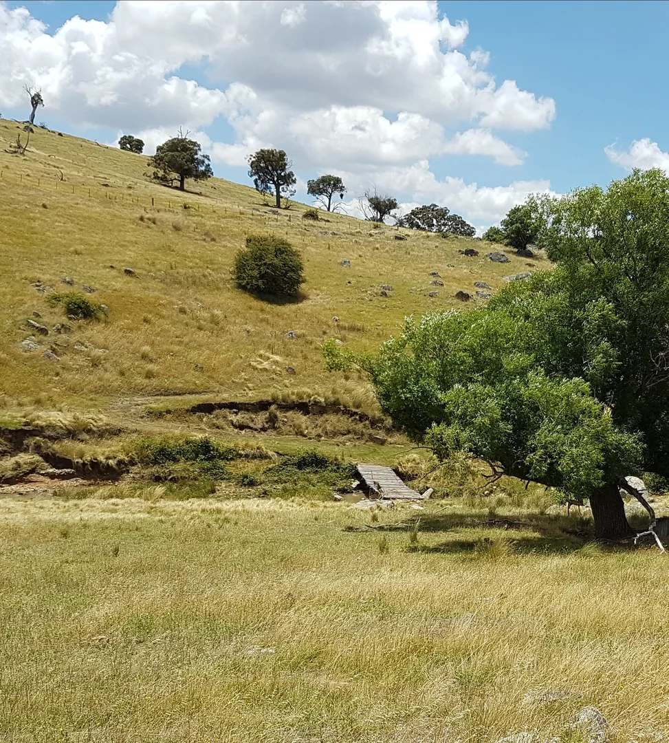 Additional image 3 of 2400 Sapphire Road, Wheeo NSW 2583