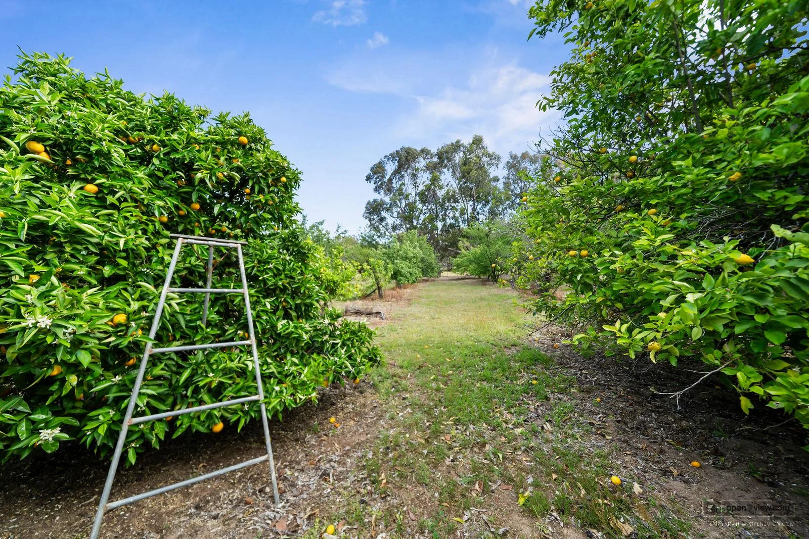 Additional image 26 of 77 Taaffe Road, Wangaratta South VIC 3678