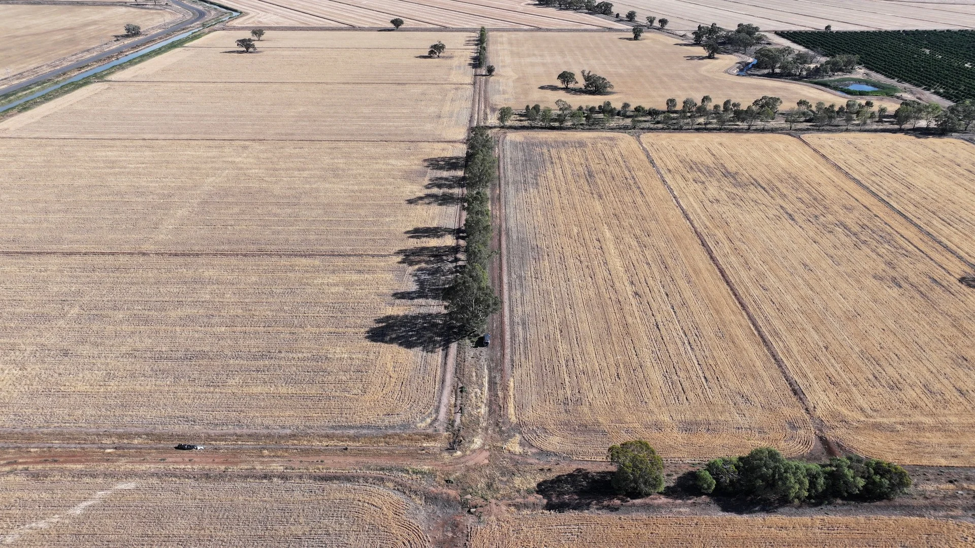 Farm 65 Stoney Point Road, Leeton NSW 2705