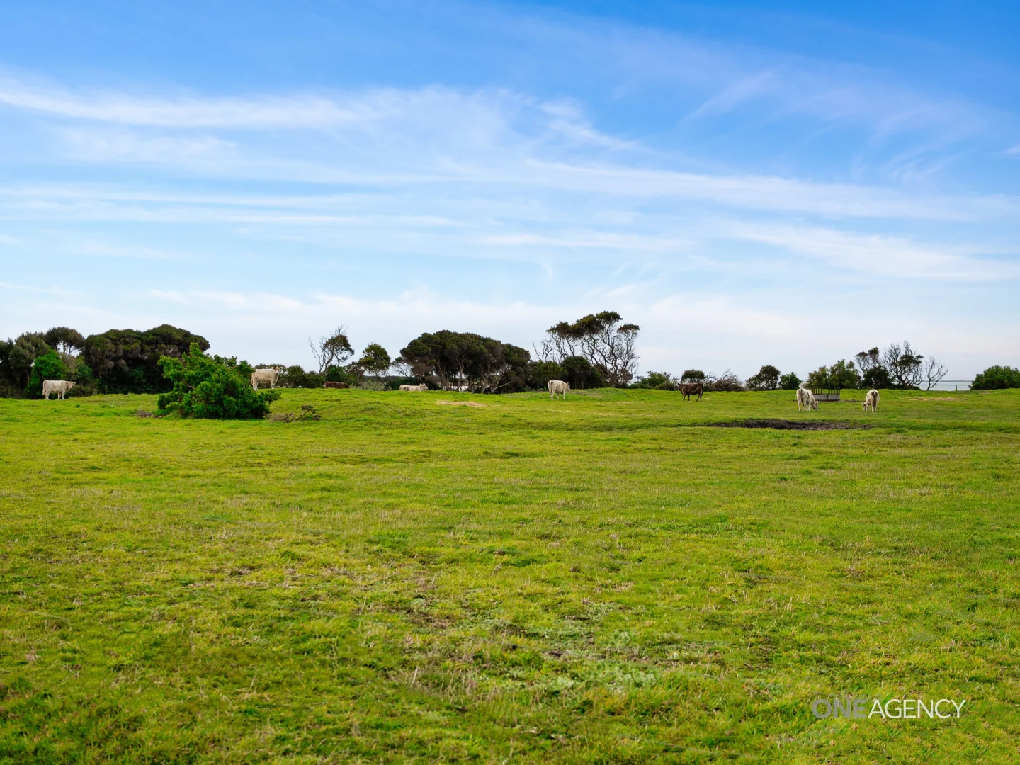 Additional image 18 of 151 Stanley Highway, Stanley TAS 7331